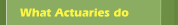 What Actuaries do