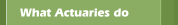 What Actuaries do