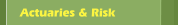Actuaries & Risk